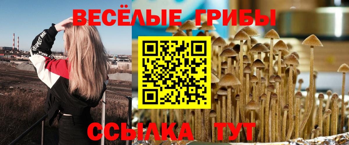 Псилоцибиновые грибы Psilocybine cubensis  купить наркоту  Лесосибирск  Вход с VPN 