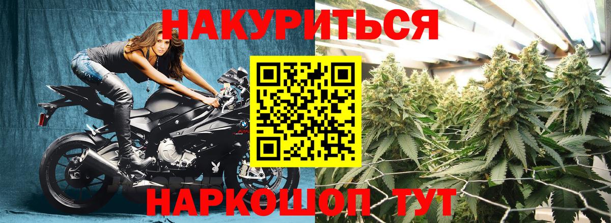 Каннабис ГИДРОПОН Лесосибирск